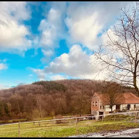 Le Ranch Des Aguesses * Andenne