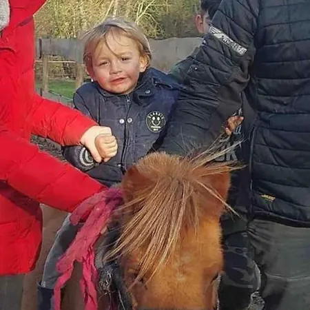 Le Ranch Des Aguesses * Andenne
