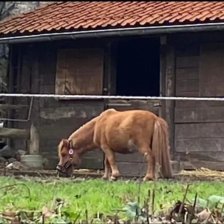 Le Ranch Des Aguesses *