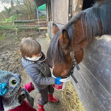 Le Ranch Des Aguesses Andenne