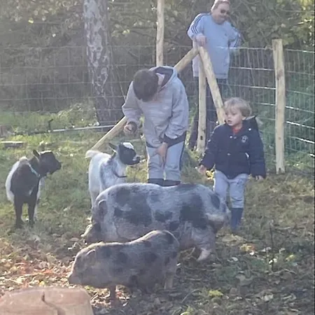 Le Ranch Des Aguesses * Andenne