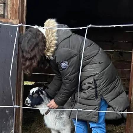 Le Ranch Des Aguesses * Andenne