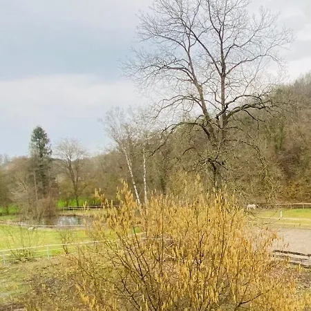 Séjour à la ferme Le Ranch Des Aguesses Andenne
