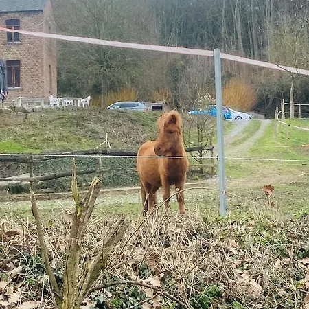 Farm stay Le Ranch Des Aguesses